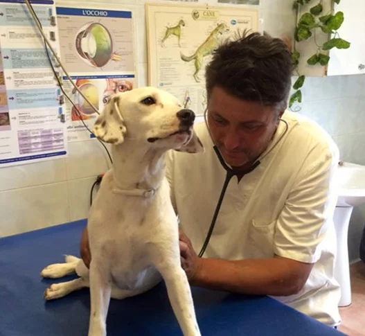 AMB. VETERINARIO DR. CASAROSA