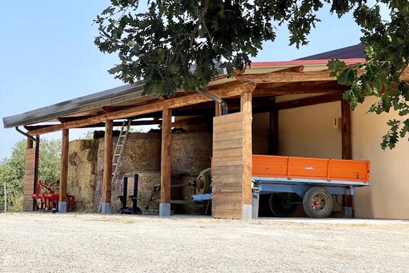 AGRICOLO 11