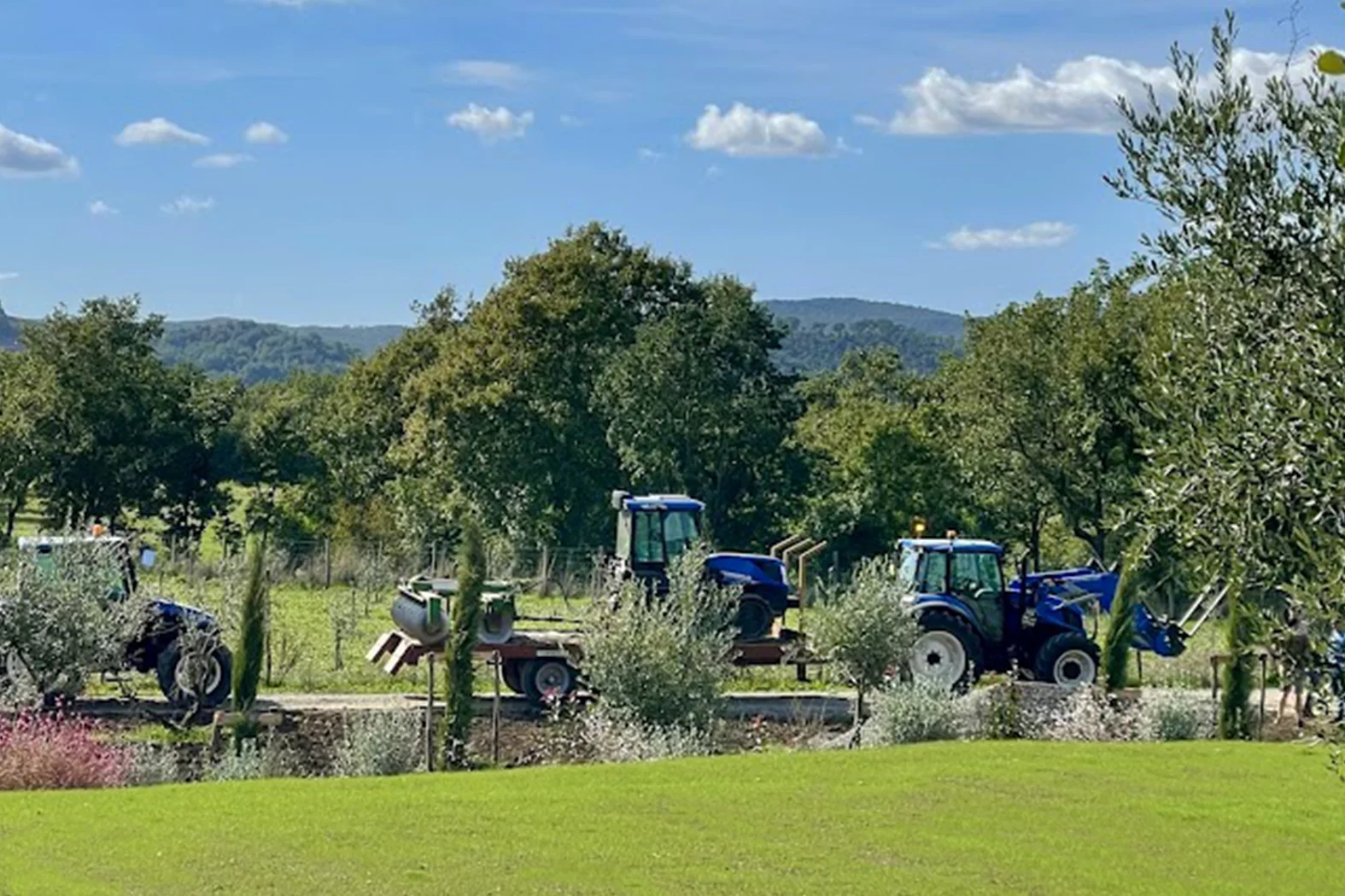 AGRICOLO 14
