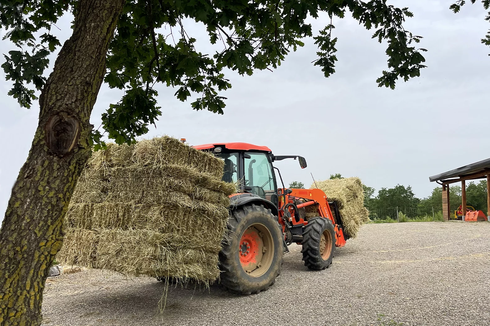 AGRICOLO 15