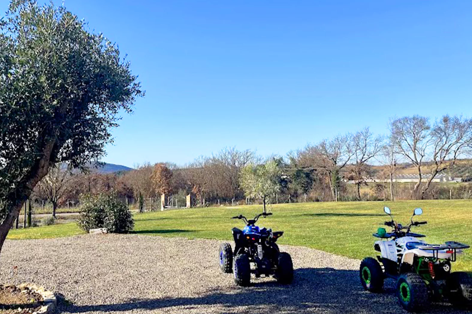 AGRICOLO 18