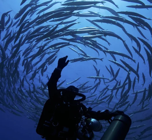ARGENTARIO DIVERS